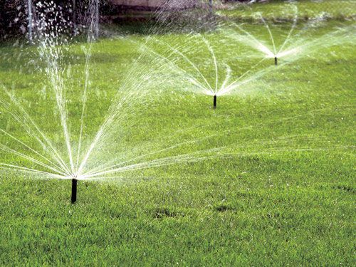 Why Professionally-Installed Lawn Irrigation Makes All the Difference