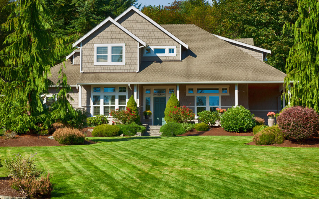 3 Tips to Keep Your Lawn in Top Shape